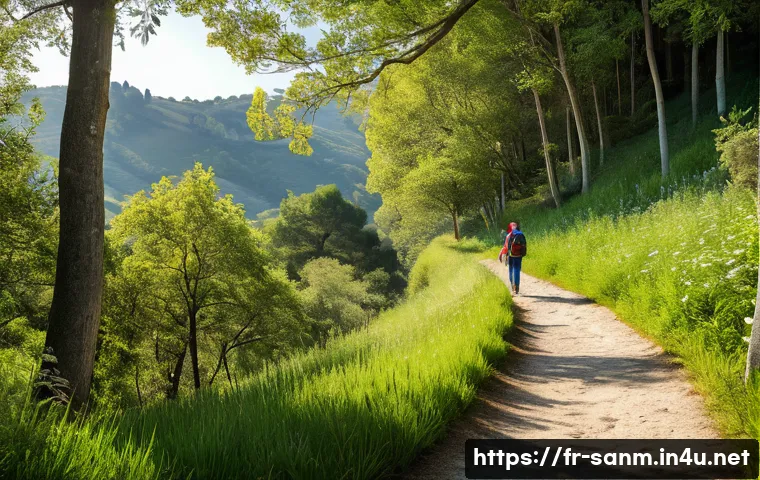 산마리노에서의 유명한 자연경관 - A serene, secluded hiking trail winding through lush, dense forests and wildflower meadows in San Ma...